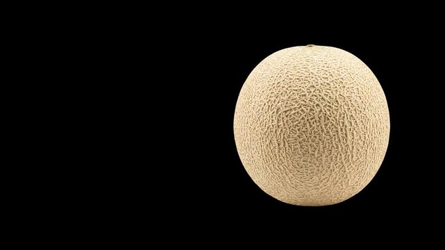 Fresh round cantaloupe melon rotating on a black background stock video