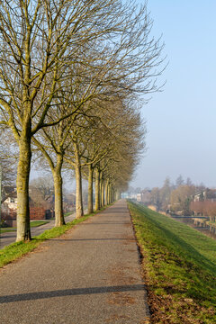 A tree-lined cycle path follows a Dutch dike beside a canal and residential neighbourhood under clear winter skies. Ideal for cycling, Dutch landscape, transport, and everyday life themes.
