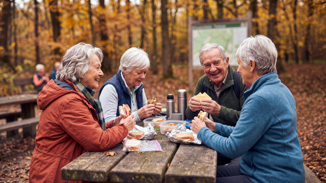 Group of happy senior women and man eating sandwiches at wooden picnic table in autumn forest. Smiling elderly friends sharing packed lunch and thermos flask outdoors. Active senior lifestyle.