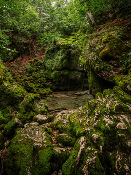 Beautiful forest details. Mossy rocks forming a small cave in a mountain forest.