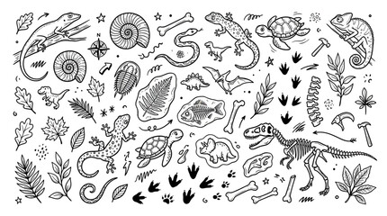 Doodle Collection of Ancient Creatures and Fossils © kier