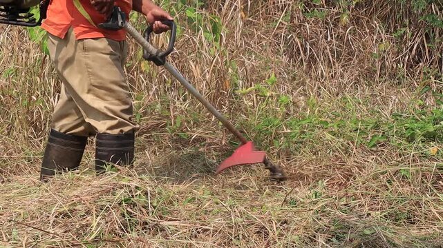 A farmer clears dry vegetation using a handheld cutter, capturing rural agricultural work, field maintenance, grass management, land care, manual labor, and countryside livelihood in rural areas.