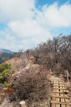 丹沢の塔ノ岳 青空の稜線へ上っていく木の階段の登山道の縦位置