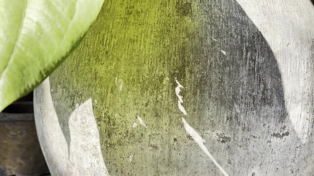 A broad leaf casts an abstract geometric shadow across a distressed grey spherical vase, creating a sculptural organic-brutalist scene with weathered texture and natural light.