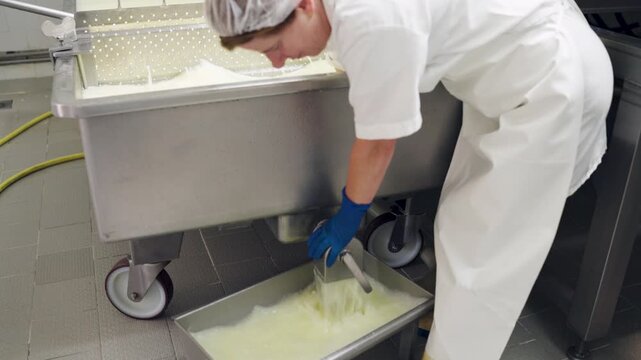 Dairy worker in a white uniform processing fresh cheese curd. Professional cheesemaking in an industrial factory, separating whey from milk