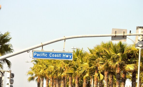 Pacific Coast Highway Street Sign with Palm Trees in California