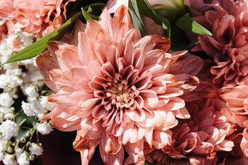 Fototapeta premium Pink chrysanthemum flower bouquet. Coral petals with white gypsophila. Fresh floral arrangement background. Decorative garden flower detail. Romantic pastel blossoms. Natural botanical texture.