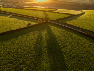 Naklejka premium Early morning sun casts long shadows across patchwork green farmland fields in Cornwall