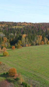 Autumn Landscape Imagery. Scenic Autumn Countryside Showcasing Foliage And Peaceful Farmland Environment. Clip