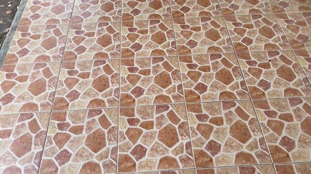 giraffe skin texture