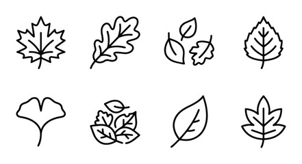 Autumn leaf line icons set with maple, oak, ginkgo and birch leaves for nature and seasonal design © Sara