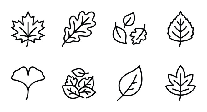Autumn leaf line icons set with maple, oak, ginkgo and birch leaves for nature and seasonal design