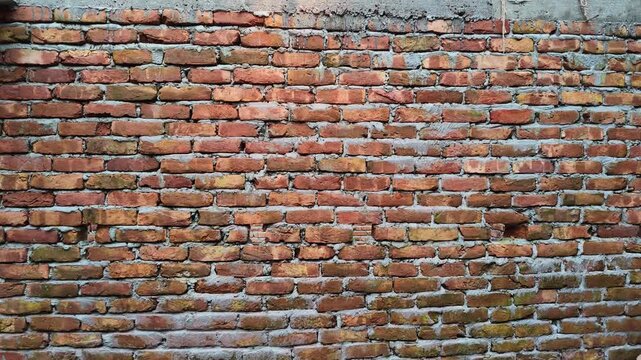 No event visible performing no celebration in front of brick wall