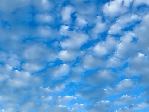 鱗雲
