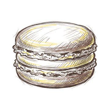 Hand drawn french macaron sketch on white background
