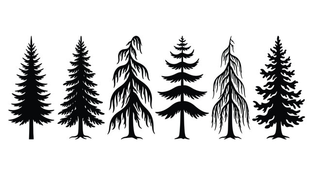 Christmas Black coniferous tree silhouettes, vector pine and spruce icons set, dense fir and bald cyperus forest shapes, minimal winter woodland design for print and web Vector