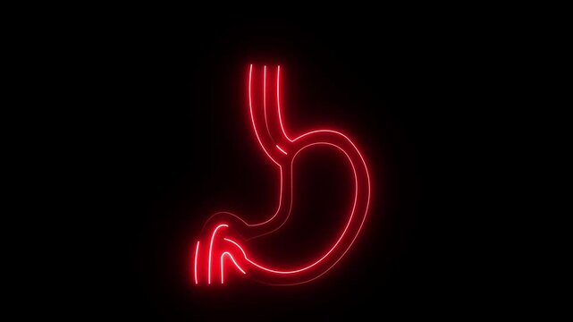 Neon Stomach Icon &ndash; Digestive System and Gastro Health acid reflux concept ulcer problem digestion process human anatomy icon Concept