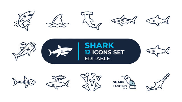 Shark Icon Set: A collection of editable line art icons depicting various shark species, including great white, hammerhead, and tiger sharks, along with shark teeth and a tagging illustration.