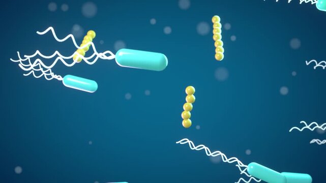 Bacteria swimming seamless loop cyan rod shaped microbes flagella yellow cocci chains microbiology microscopic organisms drift in deep blue fluid for hygiene ads medical education and lab promos