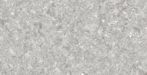Fototapeta premium Light Grey Natural Marble Texture with Fossil and Mineral Patterns
