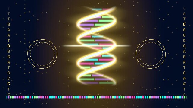 DNA hologram scan seamless loop gold double helix genome sequence glowing strands scanner line letters codes futuristic HUD on dark navy for genetics research biotech promos and tech intros
