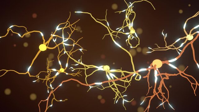 Neurons firing seamless loop neural network brain cells synapses signals glowing gold orange dendrites pass electrical pulses on dark brown for neuroscience education and tech intros