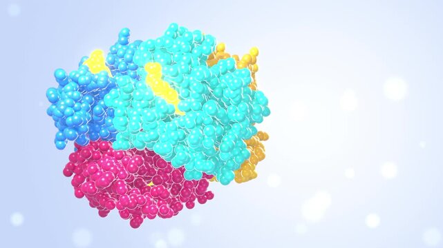 Hemoglobin protein seamless loop space filling model blood oxygen molecule subunits yellow blue pink atoms rotate on a clean white backdrop for medical education biotech promos and lab ads