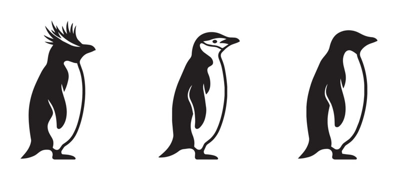 Penguin silhouettes set with crested and standard penguins illustrations for wildlife or Antarctic themes