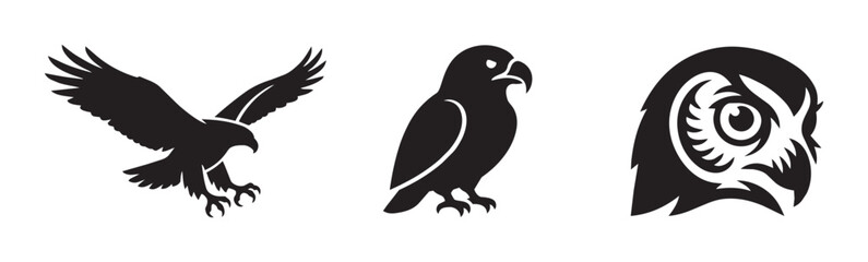 Fototapeta premium Bird silhouettes with eagle in flight, perched bird and owl face for wildlife logos