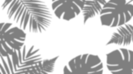 Shadow overlay tropical leaves palm monstera frame border foliage botanical aesthetic mockup effect isolated transparent background © MdMatiur