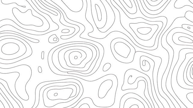 Topographic map pattern. Isolated contour line terrain. Vector vintage outdoors landscape