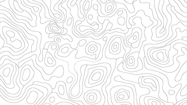 Topographic map pattern. Isolated contour line terrain. Vector vintage outdoors landscape