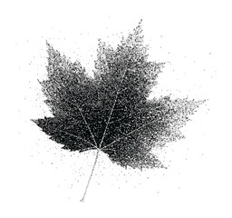 Fototapeta premium PNG Pointillism maple leaf illustration in black and white, transparent background