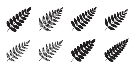 Obraz premium Black fern leaf silhouettes set on transparent background for decorative botanical graphic design.