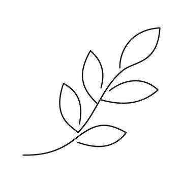 continuous line leaf branch spa drawing