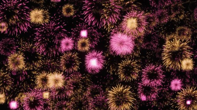 ピンクと金の花火 花火動画素材 4Kループ
