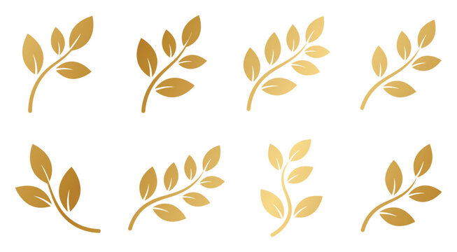 Set of gold leaves elements isolated on transparent background for wedding stationery.