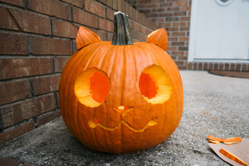 Halloween jack o lantern cat pumpkin © MG