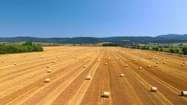 Rows of bales extend across a harvested Slovak field. Parallel gold lines converge toward a band of trees beneath a clear blue sky in an elevated view.