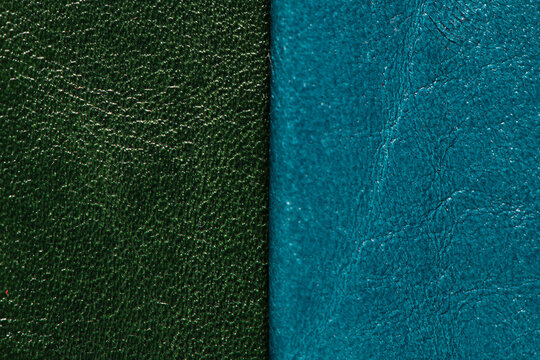 Close-up of split-screen vertical color block panels of dark green and teal leather grain