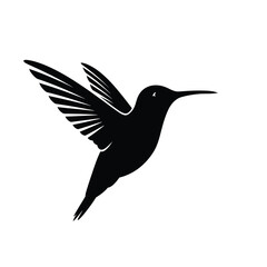 Fototapeta premium Hummingbird silhouette in side profile flying forward