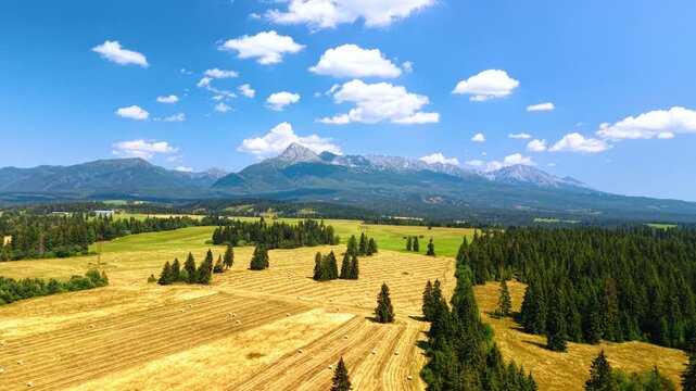 Bales lie between patches of trees below Slovak mountain peaks. Gold fields fill the foreground beside a forest edge beneath white clouds across a blue sky.
