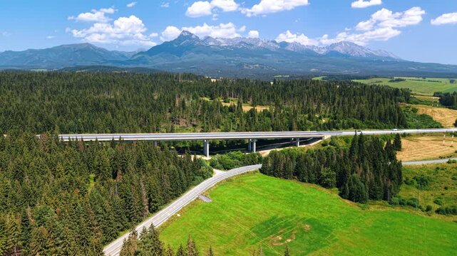 Highway bridge through green forest in Tatras Slovakia. Aerial view of a tall concrete highway viaduct passing through dense pine forest with mountains in Slovakia.
