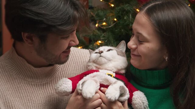 Young romantic couple sits near Christmas tree in living room while girl holds cute cat dressed in red Christmas costume and both owners gently kiss pet on head before leaning closer to share tender