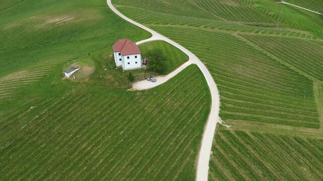 Aerial drone view of vineyards near Slovenske Konjice, Slovenia, with vineyard rows, a rural winery estate, green hills and the surrounding countryside.