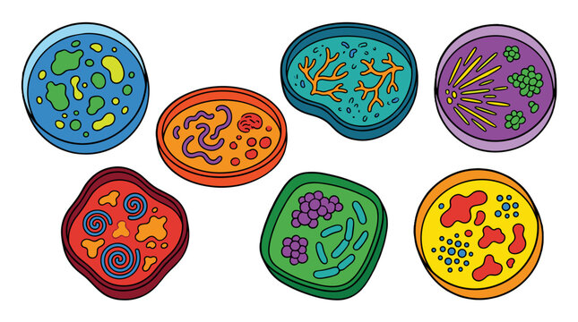 Colorful cartoon bacteria with varied shapes and inner details