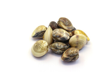 Closed up fresh baby clams. venus shell. shellfish. carpet clams. Food from nature. as raw food from the sea are the seafood ingredients. fresh clams isolated on white background © Pisan