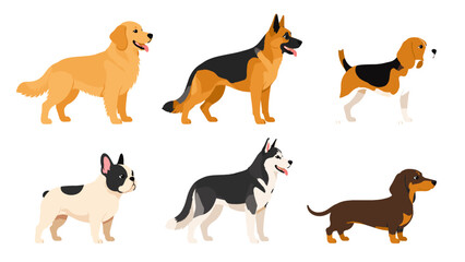 Obraz premium Set of six cartoon dog breeds in side view