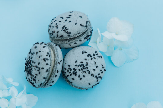 Three grey macarons with black sesame seeds placed on a solid blue background with white flower petals