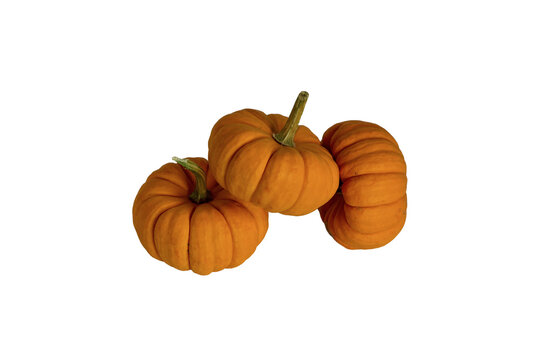 three pumpkins for halloween and fall decorations Isolated on transparent background&nbsp;